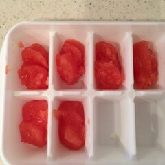 軸 ブリッジ ホールド 離乳食 トマト 冷凍 Mashaalindia Org 軸 ブリッジ ホールド 離乳食 トマト 冷凍 Mashaalindia Org